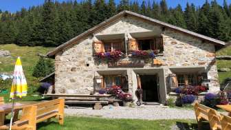 Alp Sardona Alp Sardona