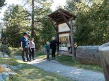 Heidi's Flower Trail, St. Moritz