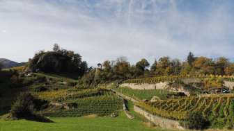 Portaser Winery