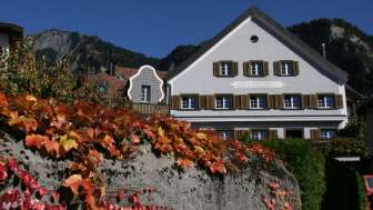 Winery Donatsch & Winzerstube "zum Ochsen"