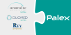 Logo: Anandic by Palex