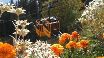 Älplibahn Malans