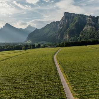 Bündner Herrschaft Heidiland Tourism