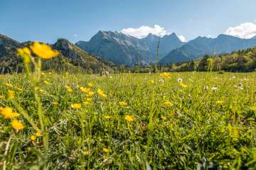 2025, mountains, flowers, flower meadow, Bündner Herrschaft, spring, landscape and nature, clouds