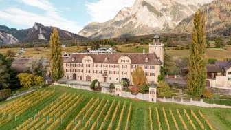 Salenegg Castle Winery