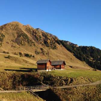 Autumnal alpine meadows; © Alpinasol.ch