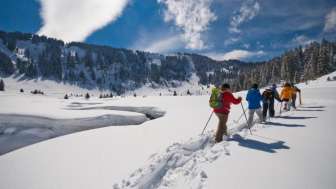 Wildlife experience on snowshoes on the Flumserberg