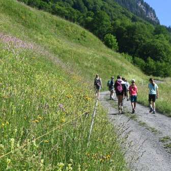 Path along the trail © Stiftung Erlebnis Weisstannental