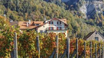 Hotel Gasthof zur Bündte