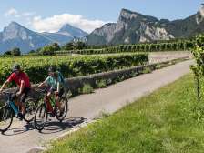 Couple, wine, vines, Bündner Herrschaft, Maienfeld