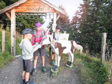 Children stamping on the Pizol heath trail