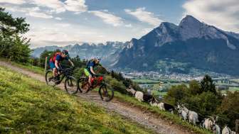 Heidiland Bike Train Tour – Beginners