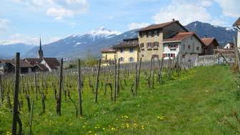 House Schmid, now Fromm