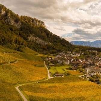 Vineyard Fläsch © Heidiland Tourism
