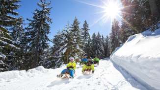Sledging_Pizol blue sky, group, Pizol, Pizolbahnen, sledging, sledge, sledge run, snow, sun, sunny, fun, forest, winter landscape, winter dream