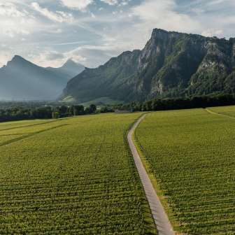 Bündner Herrschaft Heidiland Tourism
