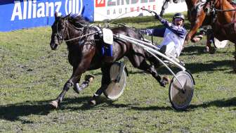 Maienfeld International Horse Races