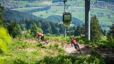 Mountains, Biking on Flumserberg, BlueSalamander, Bike