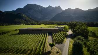 Davaz Winery 