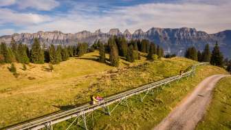 FLOOMZER toboggan run