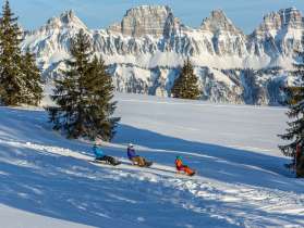 Prodalp, sledging, friends, sledge run, downhill run