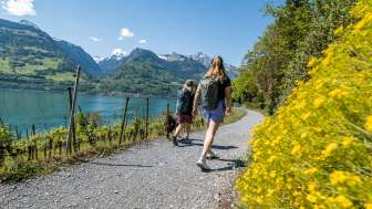 2025, trees, mountains, blue, flowers, friends, spring, water, green, dog, dog leash, Quinten, lake, forest, Lake Walen, hiking, water, path, clouds