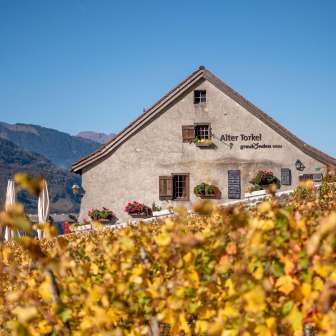Old Torkel Jenins © Heidiland Tourism