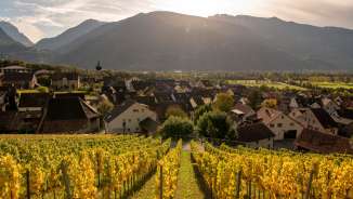 Vineyard_Fläsch Autumn Wine, village
