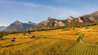 Bündner Herrschaft Vineyard, dominion, wine, villages, mountains, Falknis, village, Graubünden, Bündner Herrschaft, view