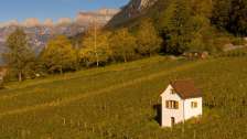 Heiligkreuz, Mels, vines, St.Gallen wine, vineyard
