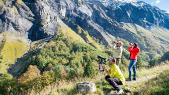 Batöni, stone deer, silver fir, wildlife watching, wildlife, wildlife tours, wildlife tours