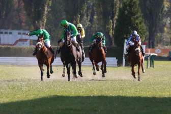 Horse racing 2