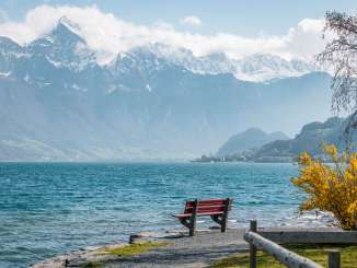 2025, bench, mountains, Firnschneefäscht festival, forsythia, forsythia tree, spring, landscape and nature, red bench, lake, bench, walking, stones, Lake Walen, water, path, clouds