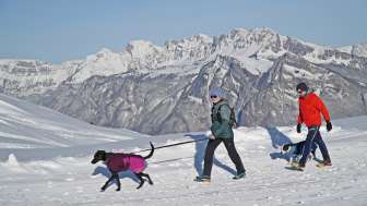 Pardiel alphorn group, dog, walking trails, Pizol, snow, winter hiking