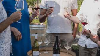 Guided tour and tasting at the Davaz winery