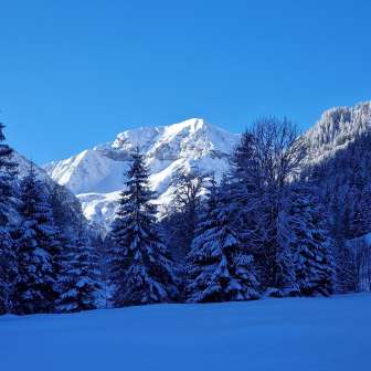 Foostock © Bergträume GmbH