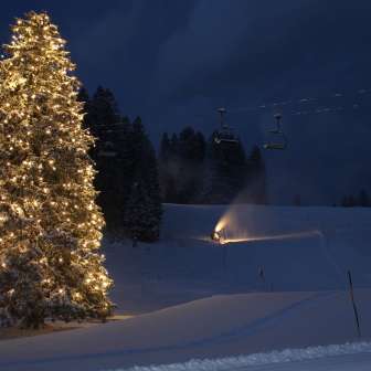 Picture Christmas tree