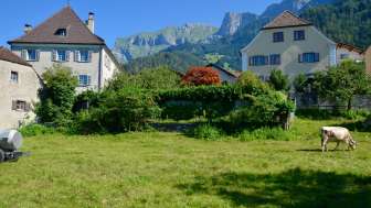 Lower speaker's house