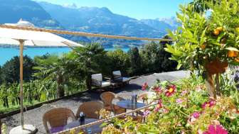 Grotto "KALIFORNI" CasaNova Pure Wine