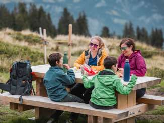 cloudy, family picnic, barbecuing, barbecue area, children, picnic, Rohan red deer