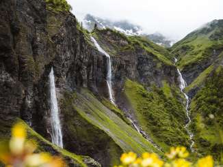 Weisstannen, Batöni, Weisstannen valley