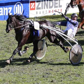 Horse racing 1