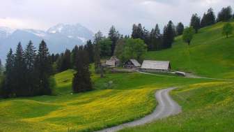 Alp Schrina