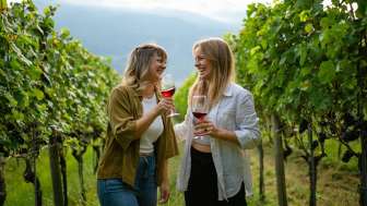 Backpack wine tasting in the Bündner Herrschaft