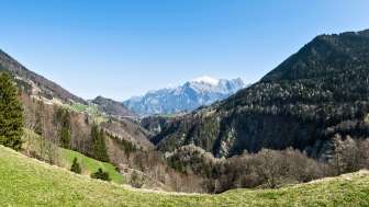 Apartment house Quadern (5 apartments)