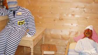 Sargans Mask Museum Flums