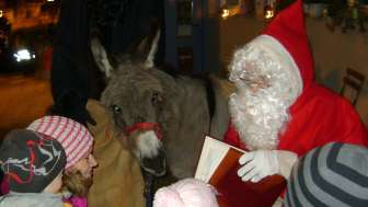 Arrival of the Sami lice in Bad Ragaz
