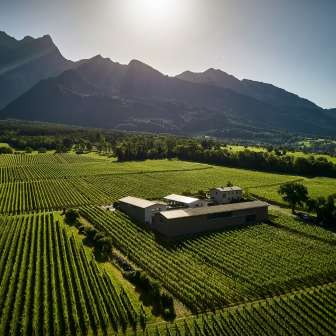 Davaz Winery © Davaz Winery