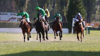 Horse racing 2