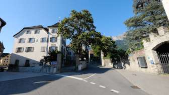 Winery Pola Maienfeld